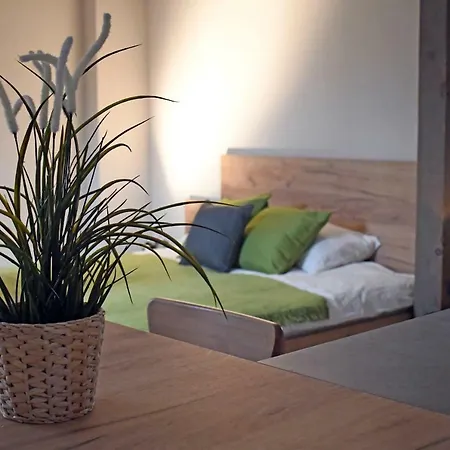 Vatus Apartmanhaz *