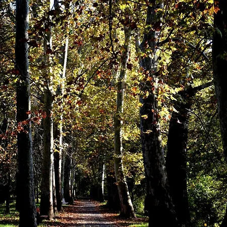 Vatus Apartmanhaz Apartmán Vác